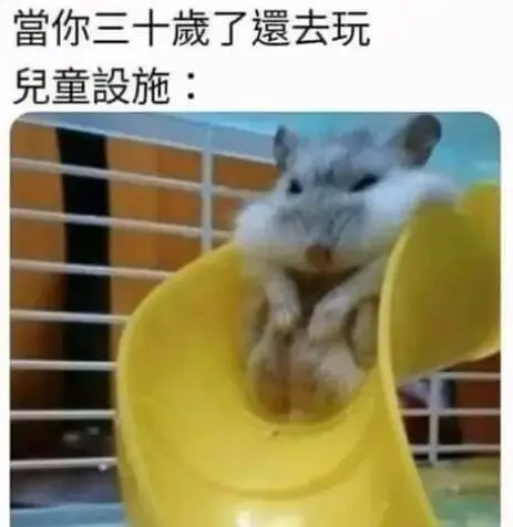 当你三十了，遗去玩儿童设施：