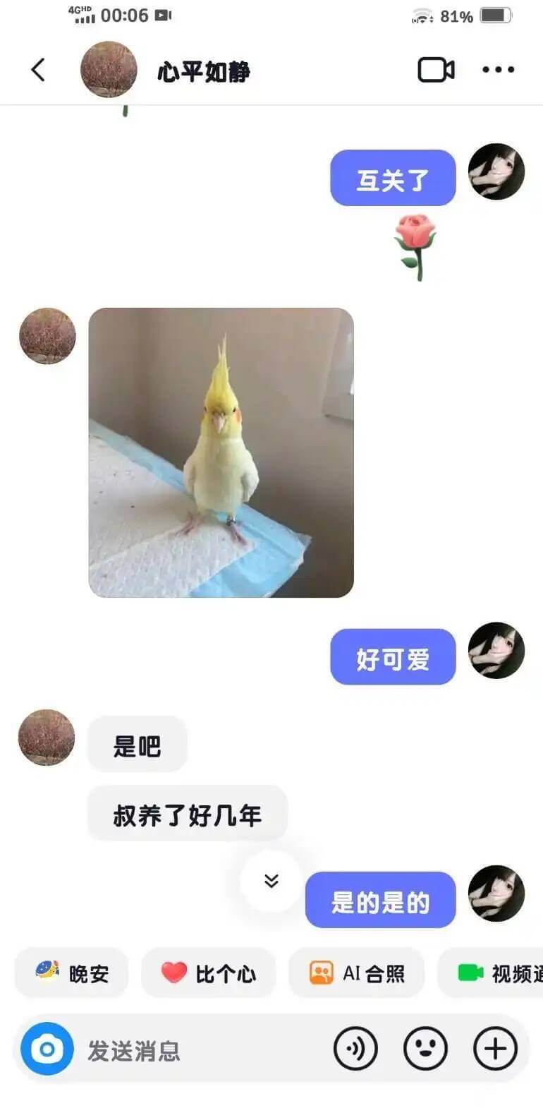 81%心平如静互关了好可爱是吧叔养了好几年V是的是的晚安比个