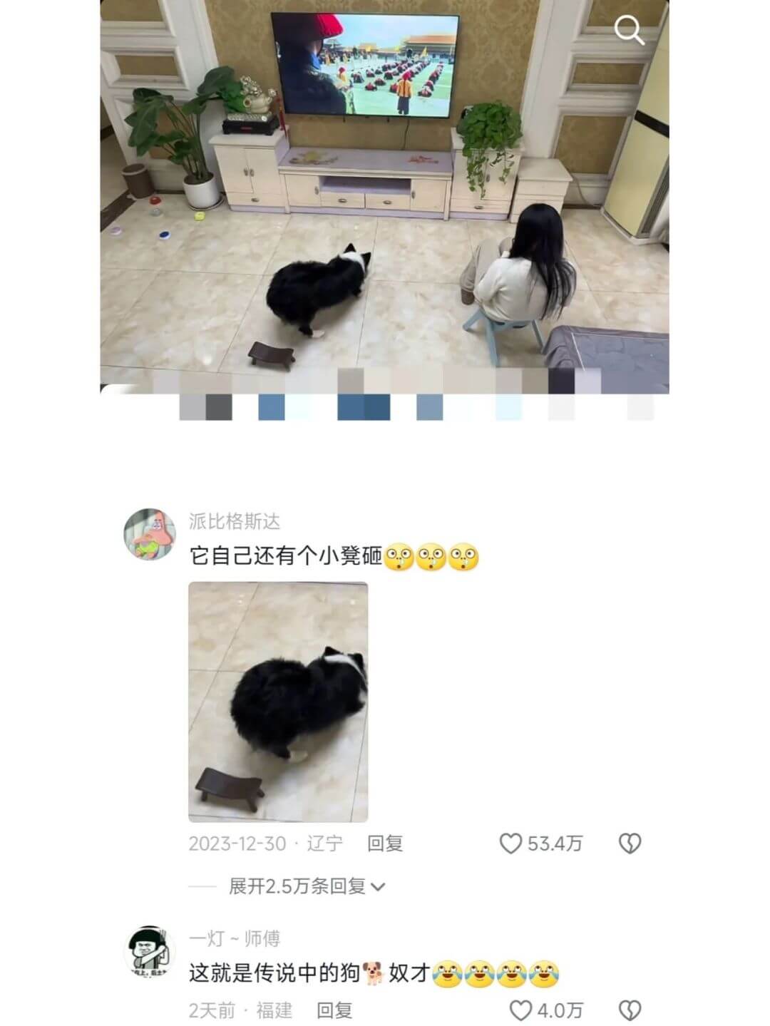 -派比格斯达它自己还有个小凳砸2023-12-30·辽宁回复