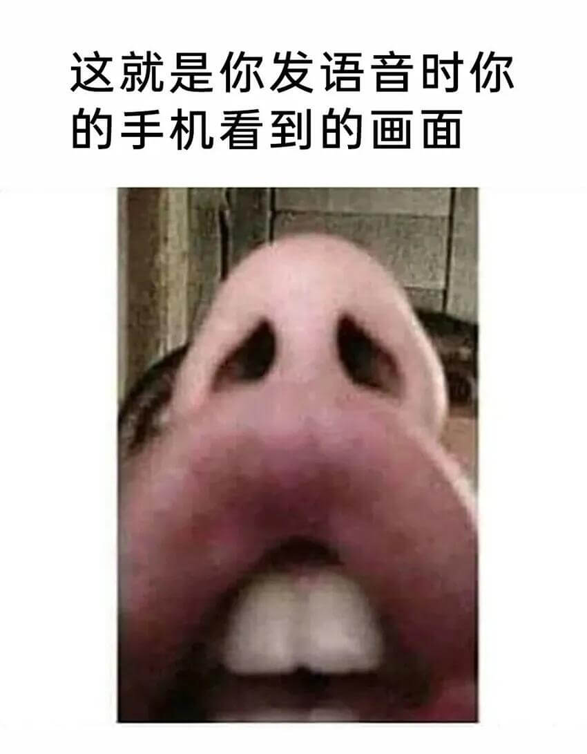 这就是你发语音时你的手机看到的画面