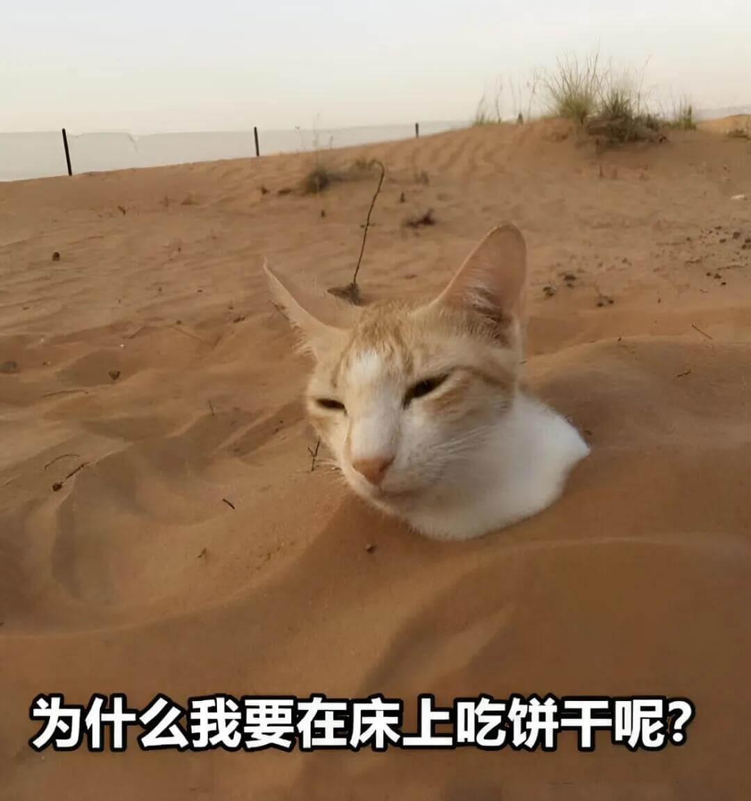 为什么我要在床上吃饼干呢？