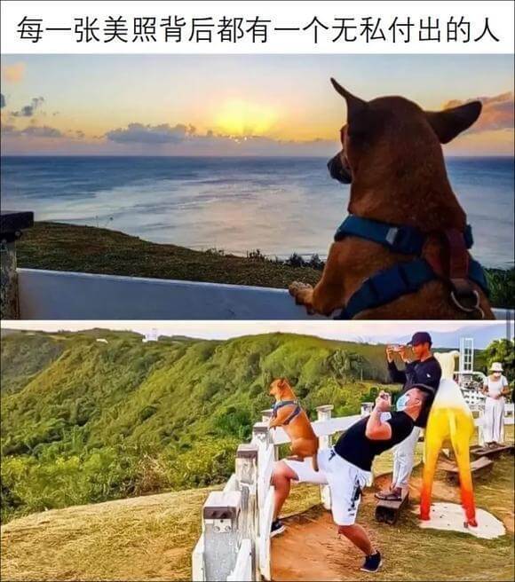 每一张美照背后都有一个无私付出的人