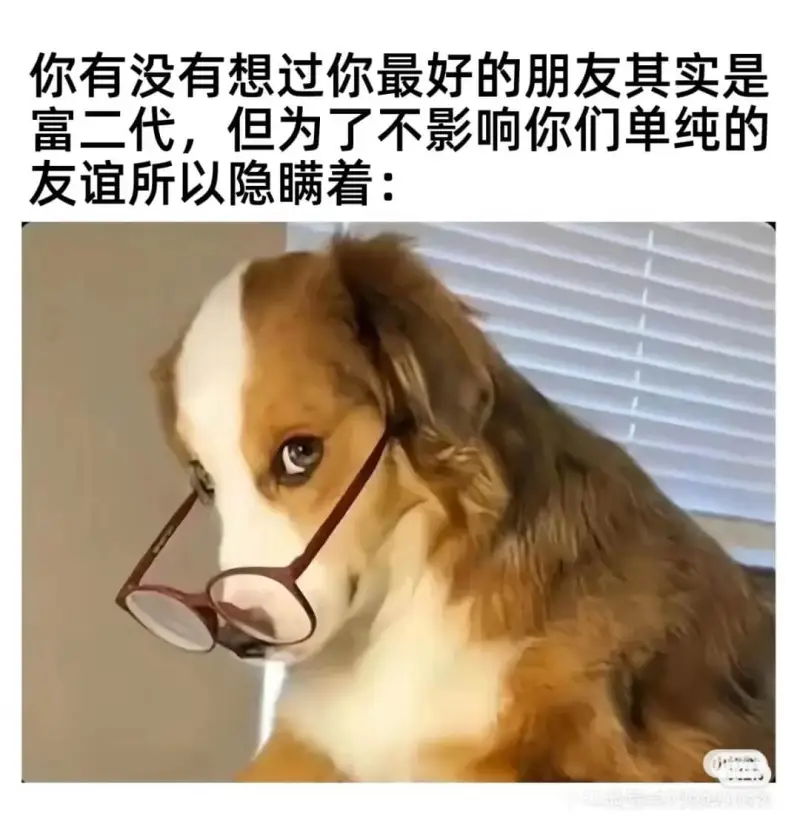 你有没有想过你最好的朋友其实是富二代，但为了不影响你们单纯的
