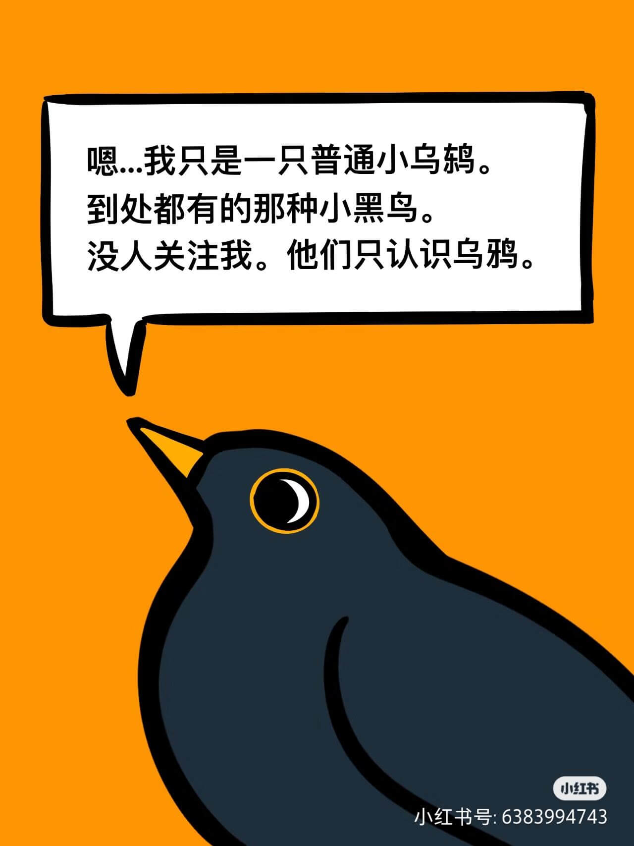嗯我只是一只普通小乌。到处都有的那种小黑鸟。没人关注我。他们