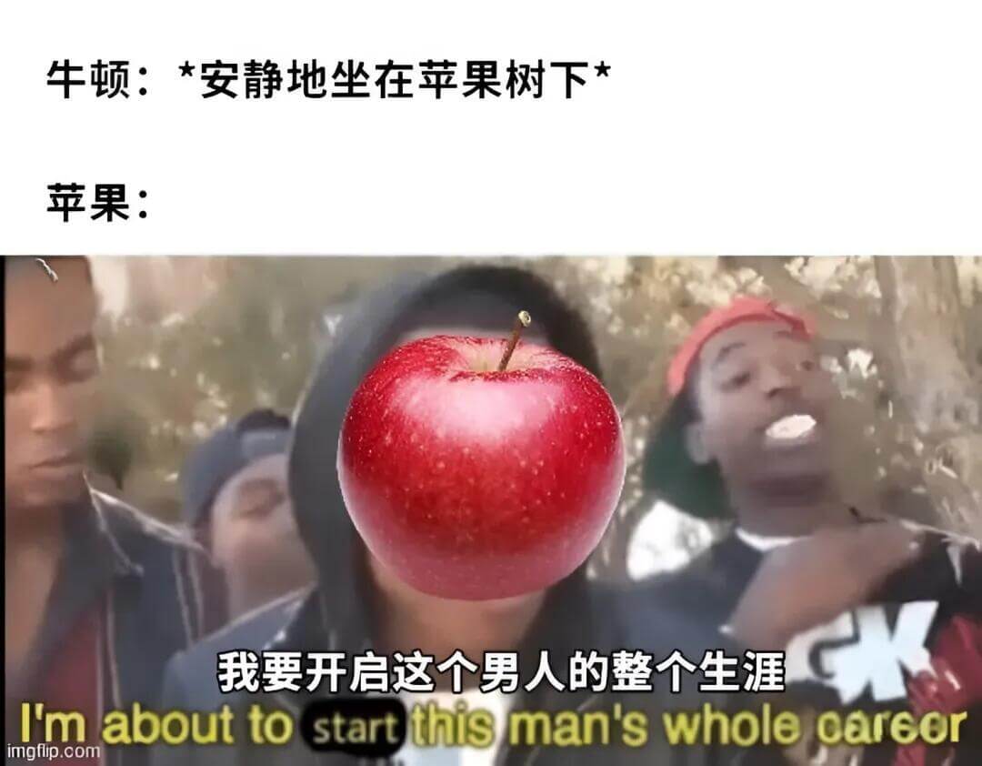 牛顿：*安静地坐在苹果树下苹果：我要开启这个男人的整个生涯I