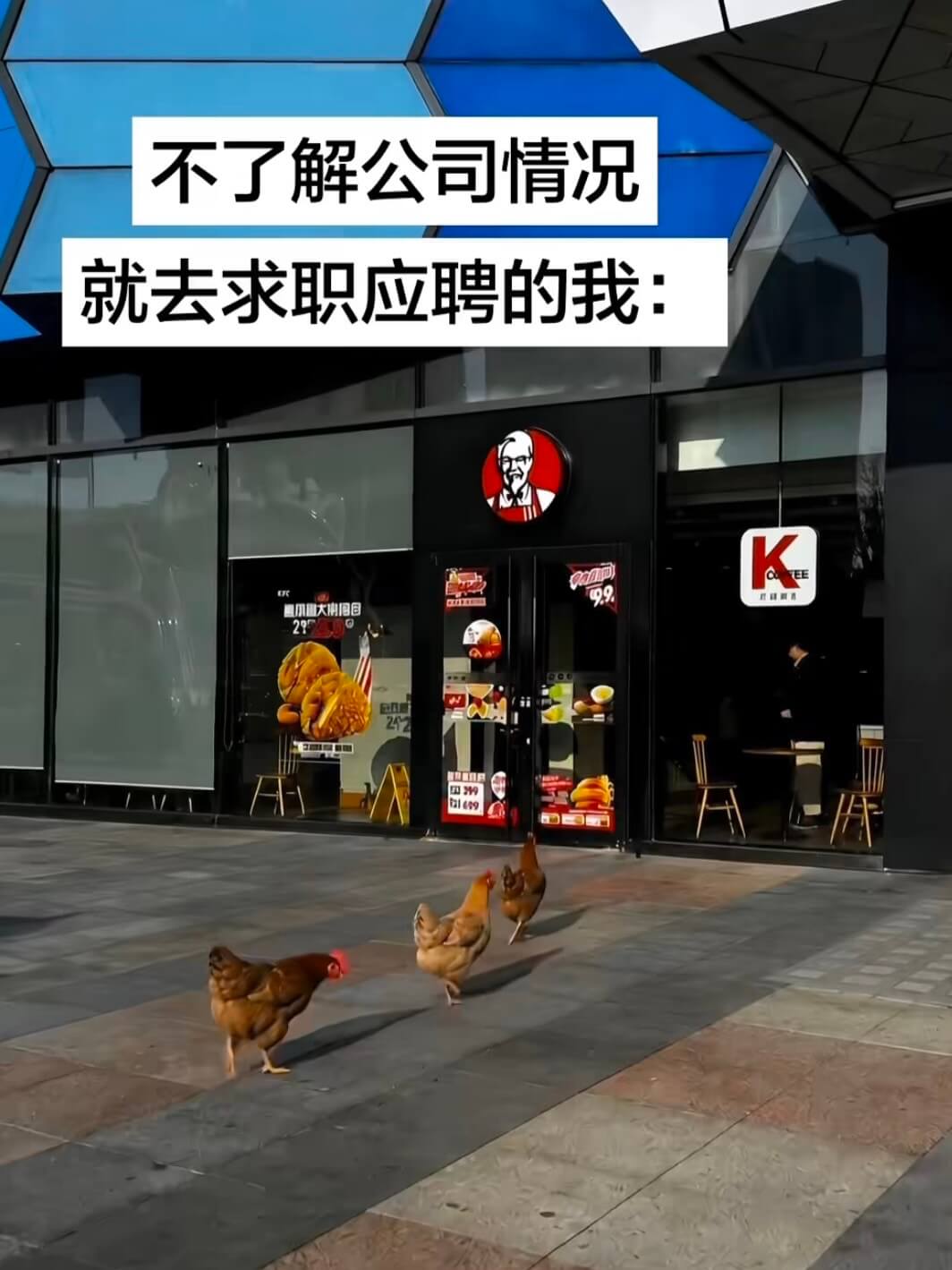 不了解公司情况就去求职应聘的我：29晨川大学图目29160