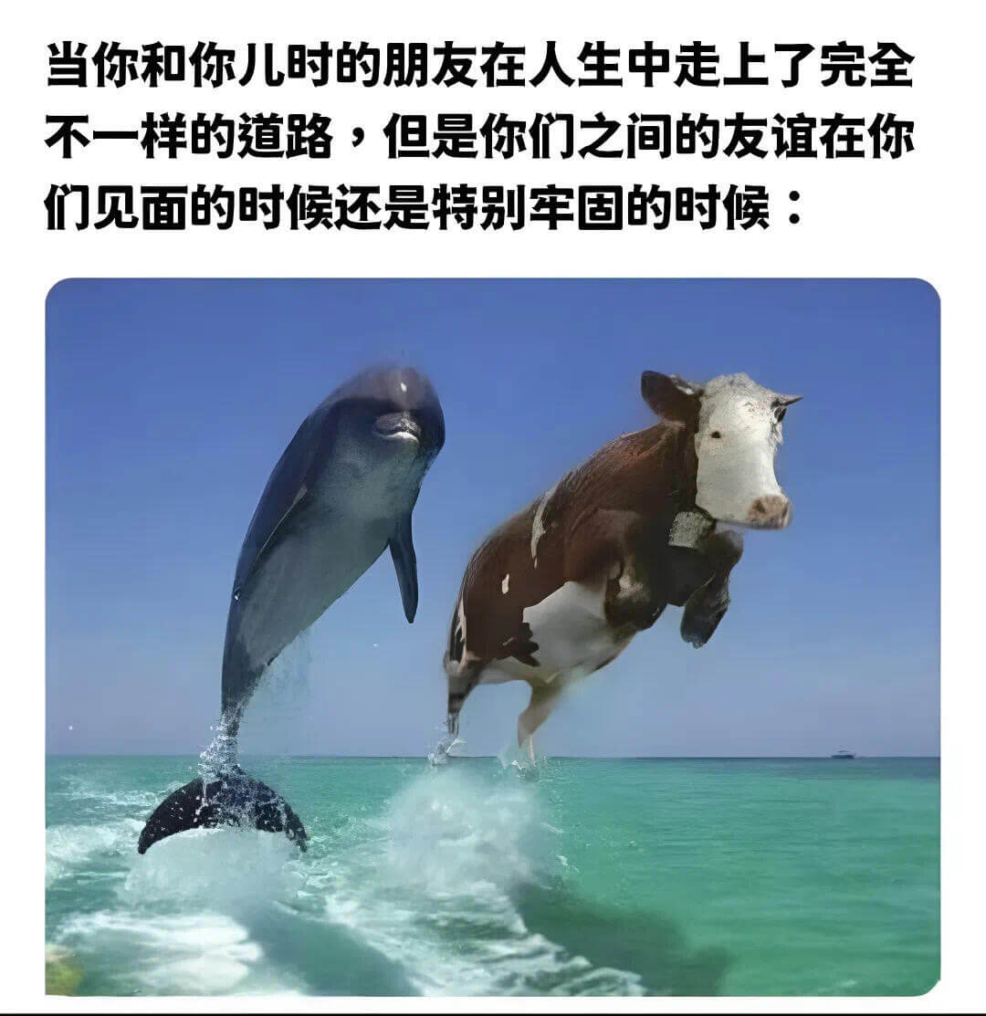 当你和你儿时的朋友在人生中走上了完全不一样的道路,但是你们之