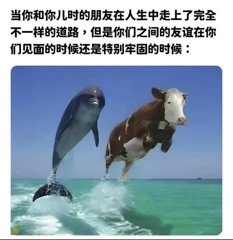 当你和你儿时的朋友在人生中走上了完全不一样的道路,但是你们之