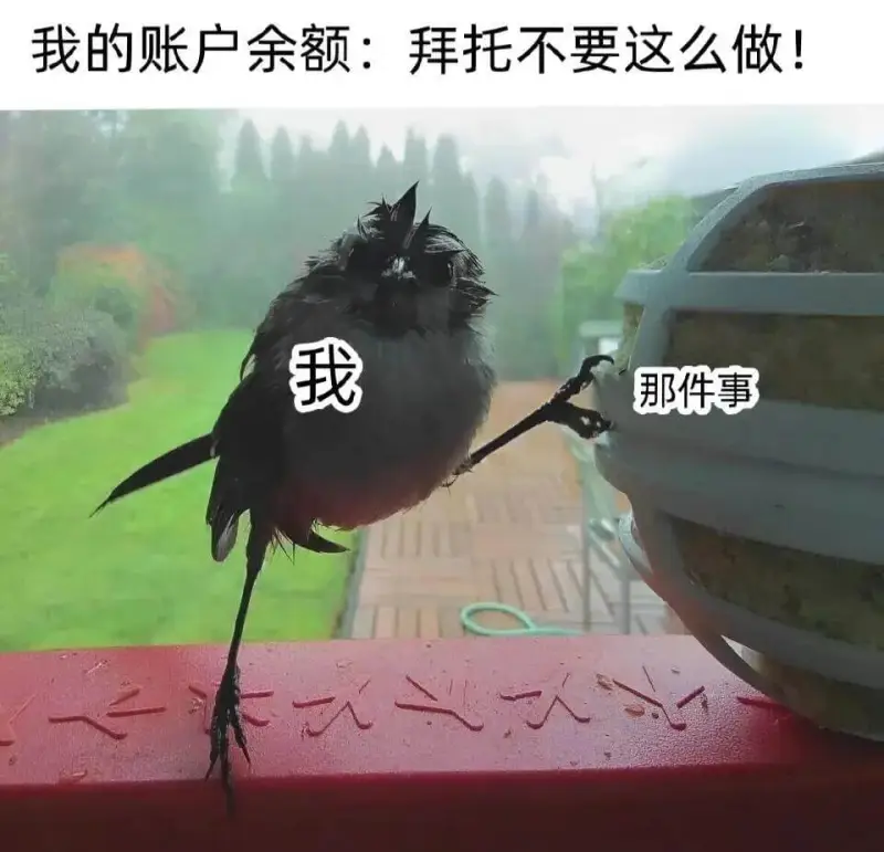 我的账户余额：拜托不要这么做！我那件事