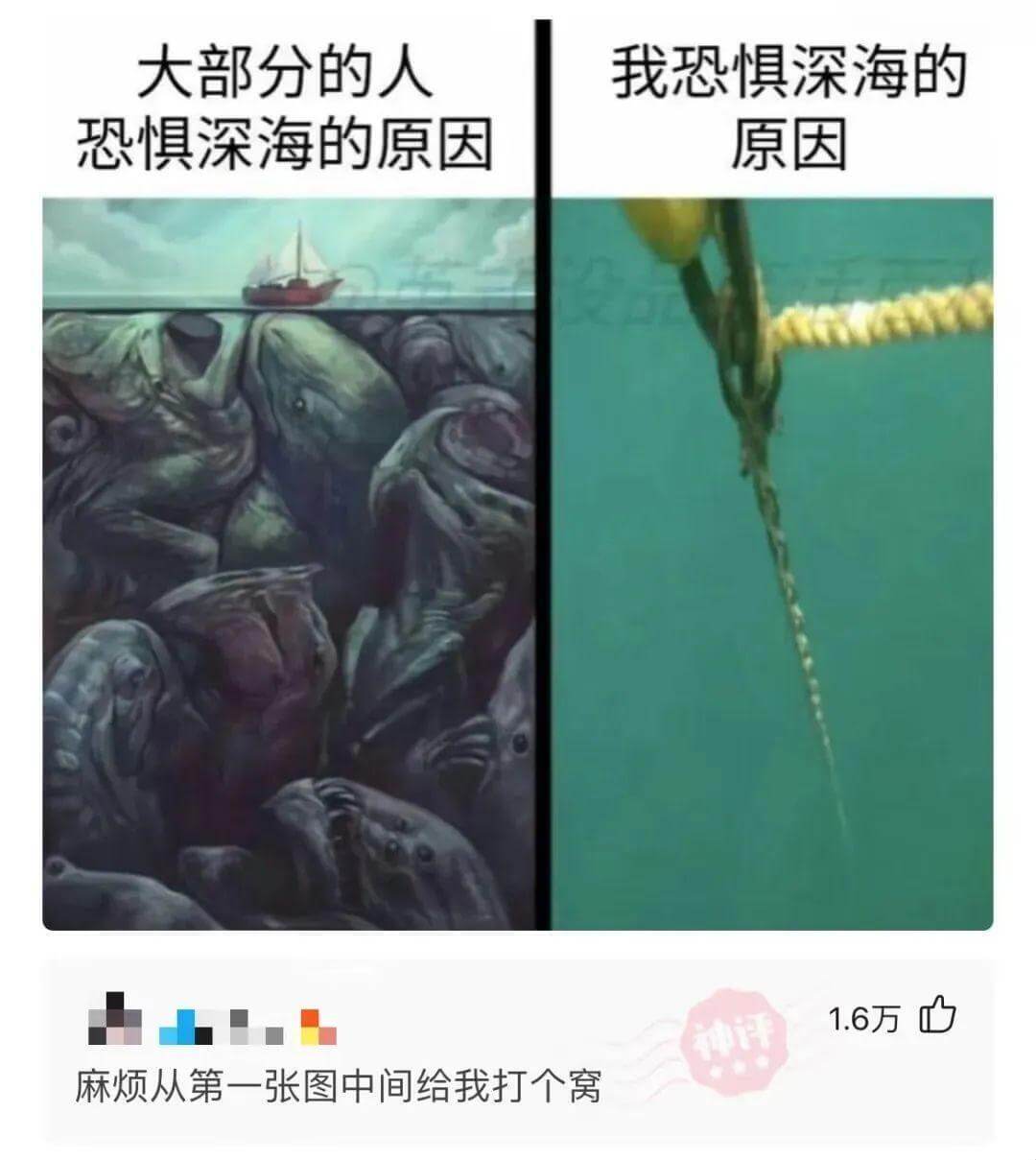 大部分的人恐惧深海的原因：我恐惧深海的原因：麻烦从第一张图中