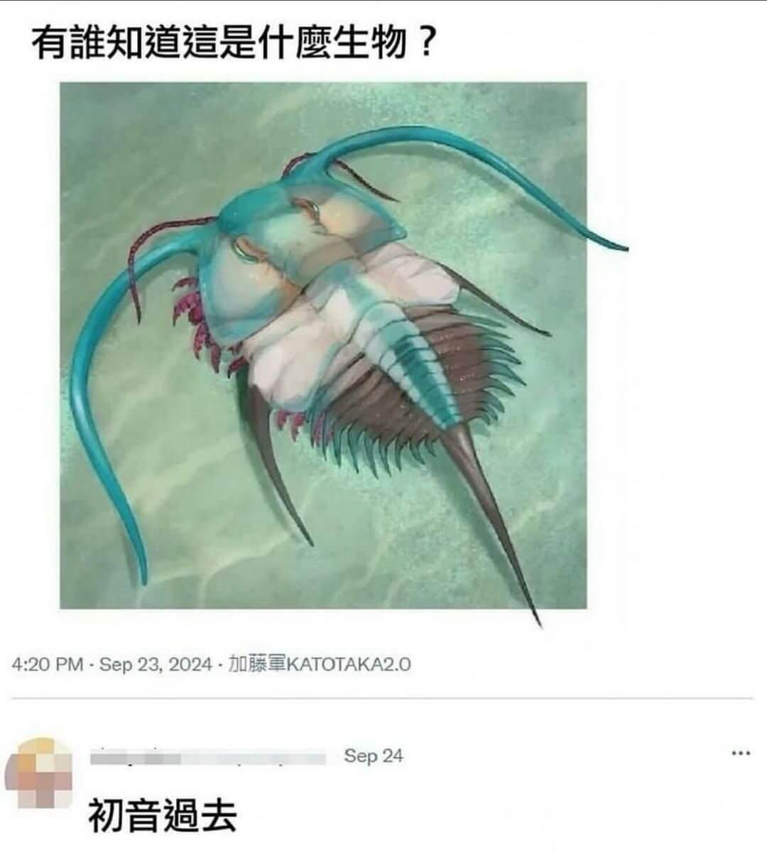 有离知道意是什磨生物？4:20PM-Sep23,2024-加
