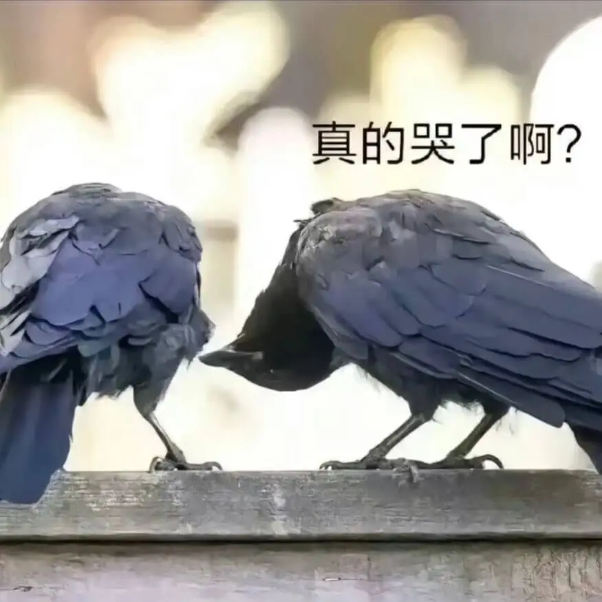 真的哭了啊？