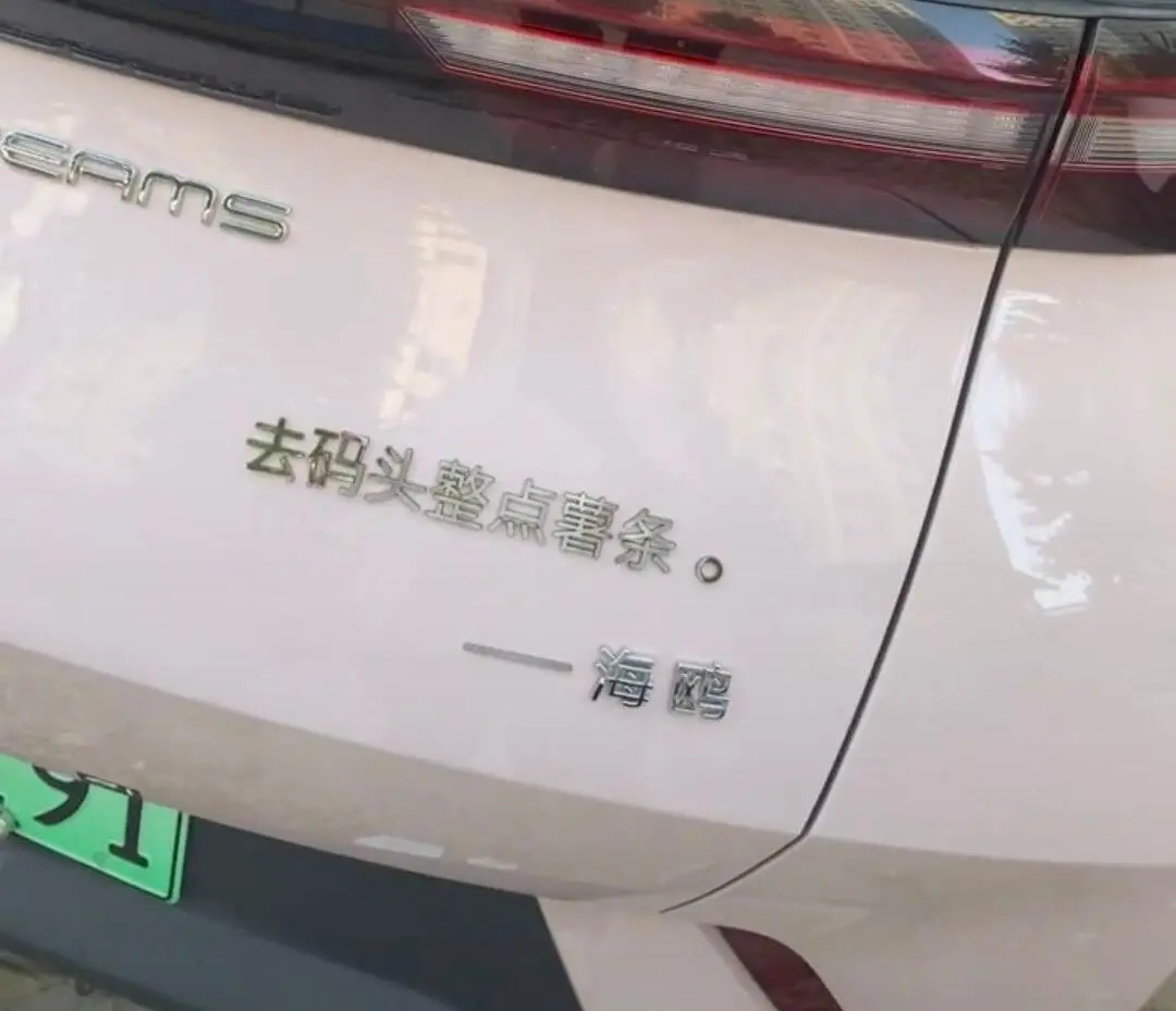 去码头整点薯条。——海鸥