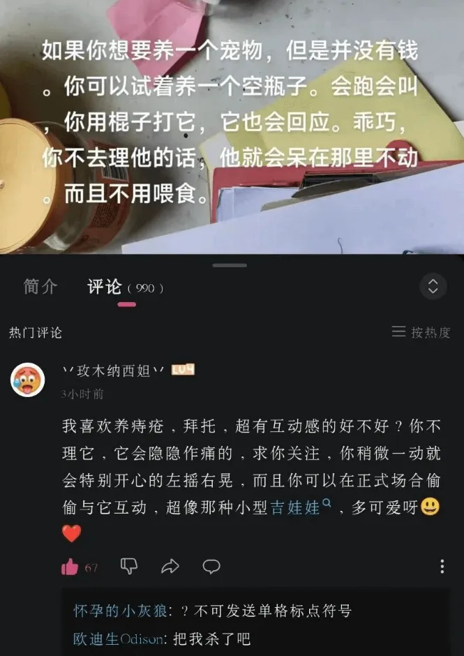 如果你想要养一个宠物,但是并没有钱,你可以试着养一个空瓶子。