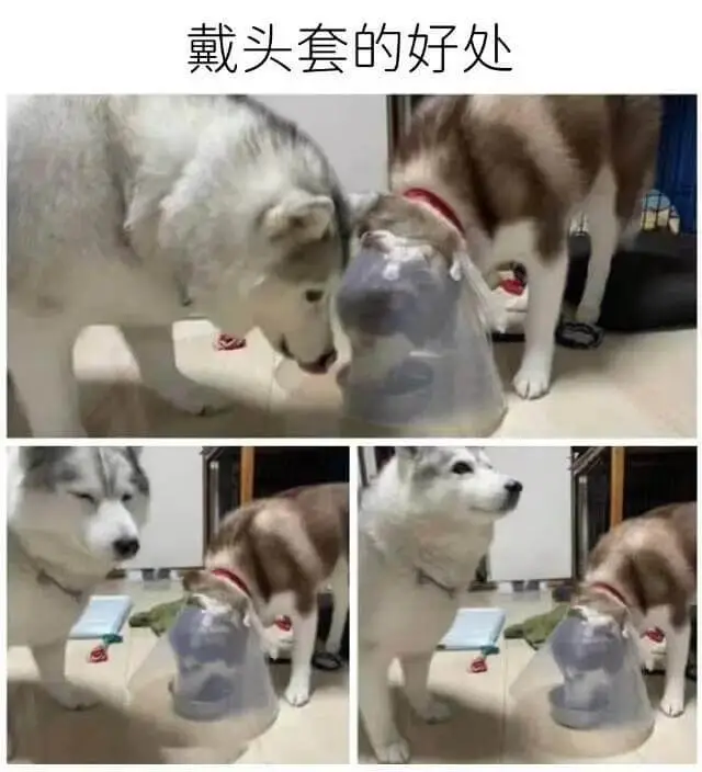 戴头套的好处