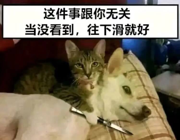 这件事跟你无关当没看到，往下滑就好