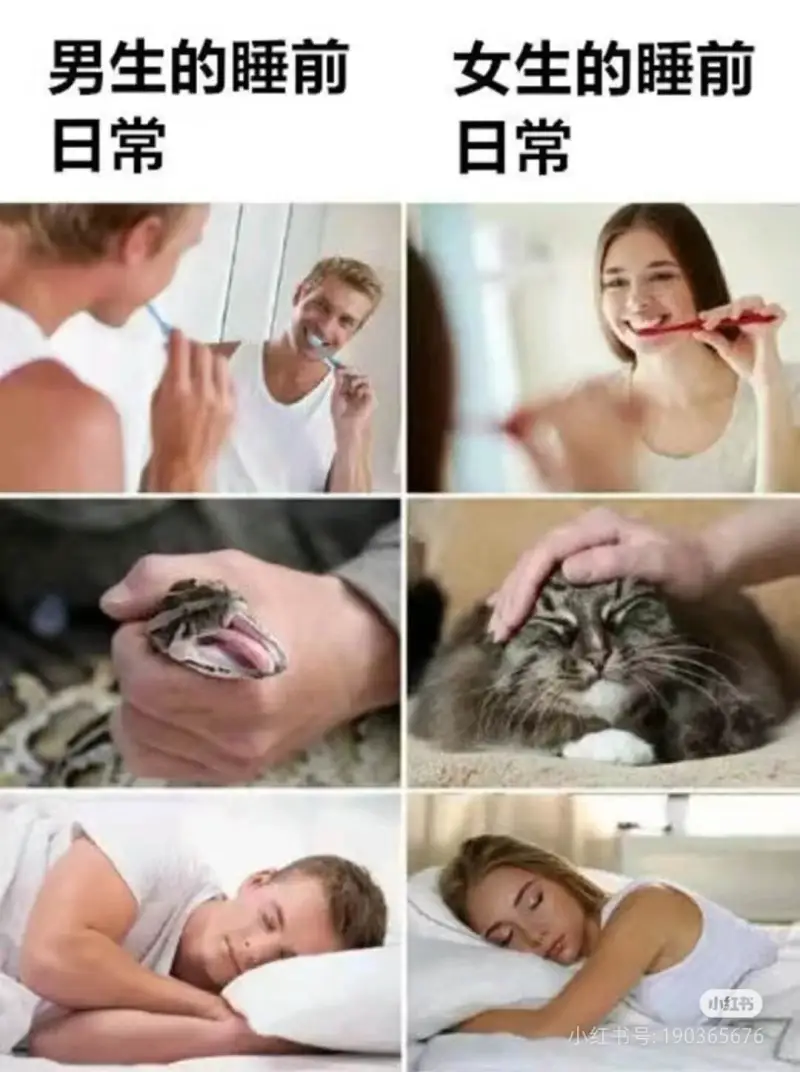 男生的睡前日常女生的睡前日常小红书小红书号:19036567