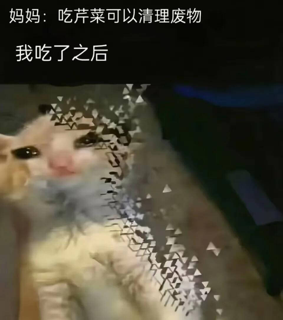 妈妈：吃芹菜可以清理废物我吃了之后