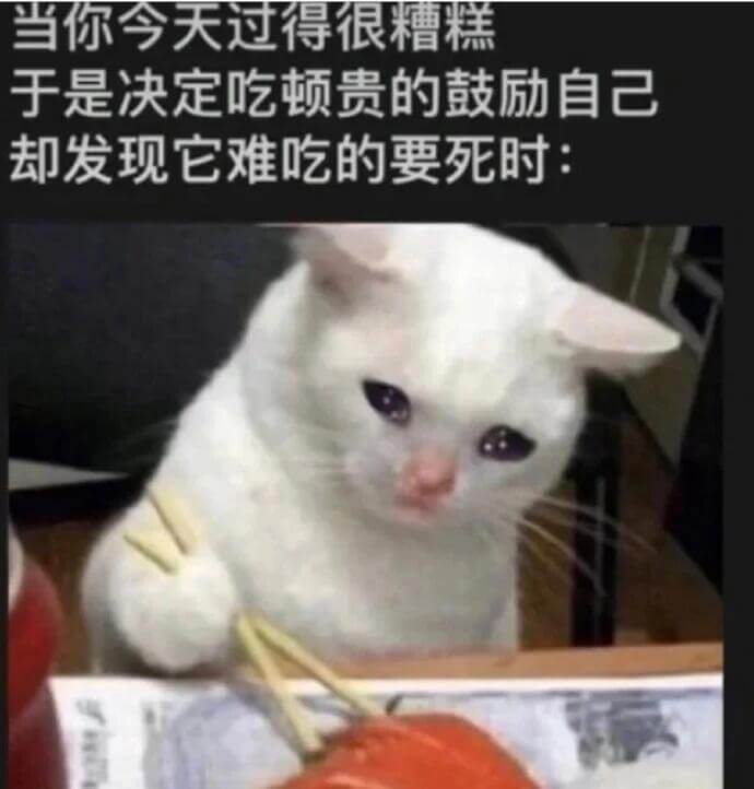 当你今天过得很糟糕，于是决定吃顿贵的鼓励自己，却发现它难吃的