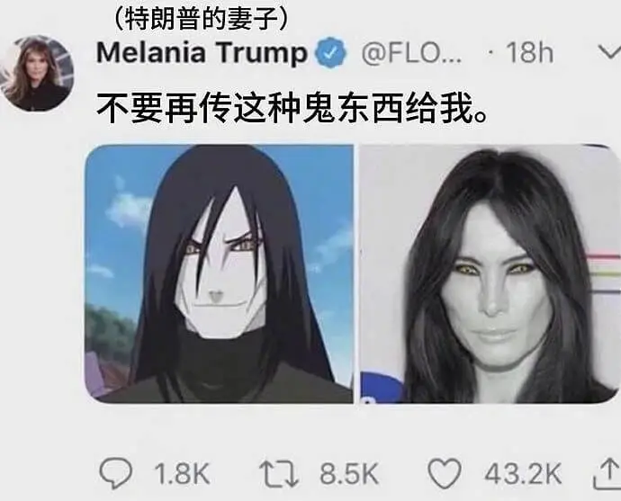 (特朗普的妻子)MelaniaTrump@FLO…·18h1
