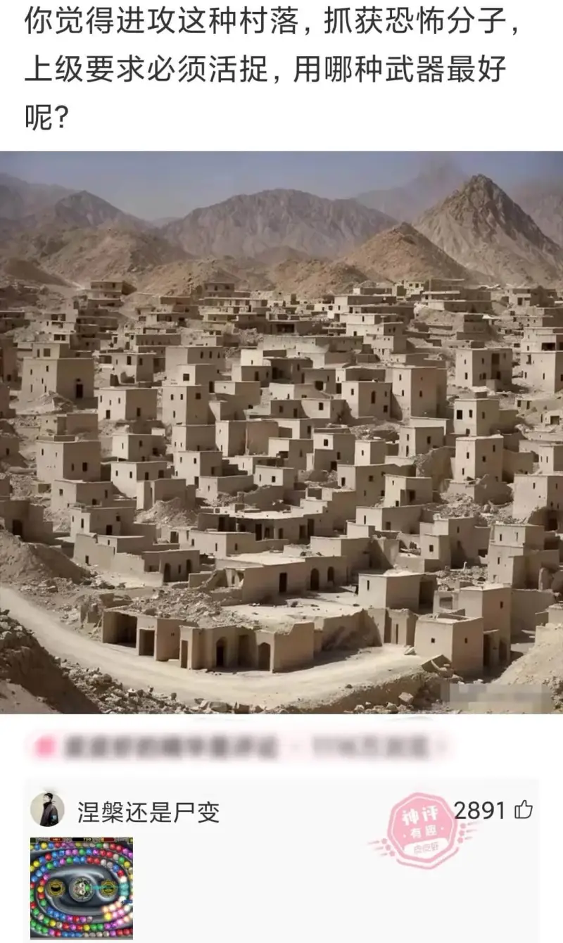 你觉得进攻这种村落，抓获恐怖分子，上级要求必须活捉，用哪种武