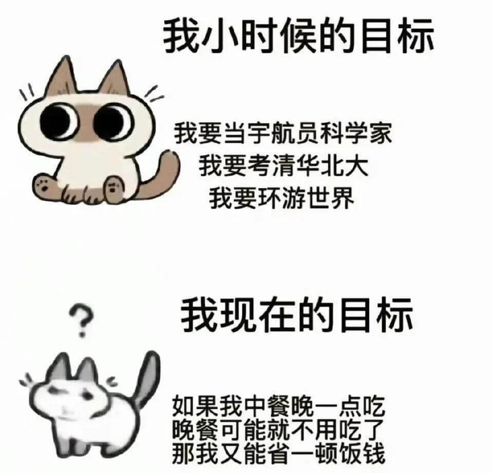 我小时候的目标：我要当宇航员科学家。我要考清华北大。我要环游
