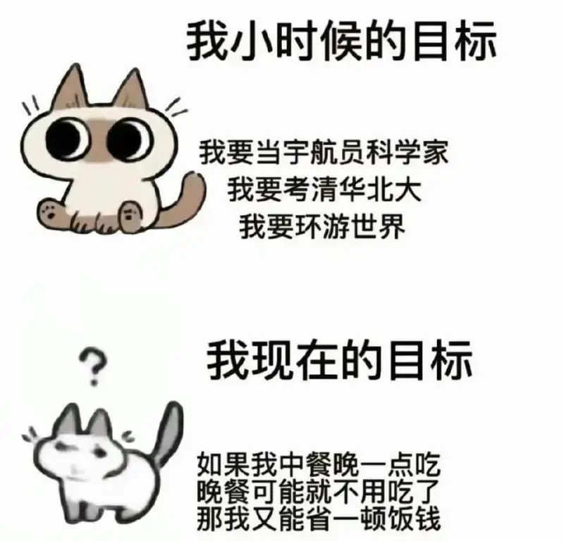 我小时候的目标：我要当宇航员科学家。我要考清华北大。我要环游