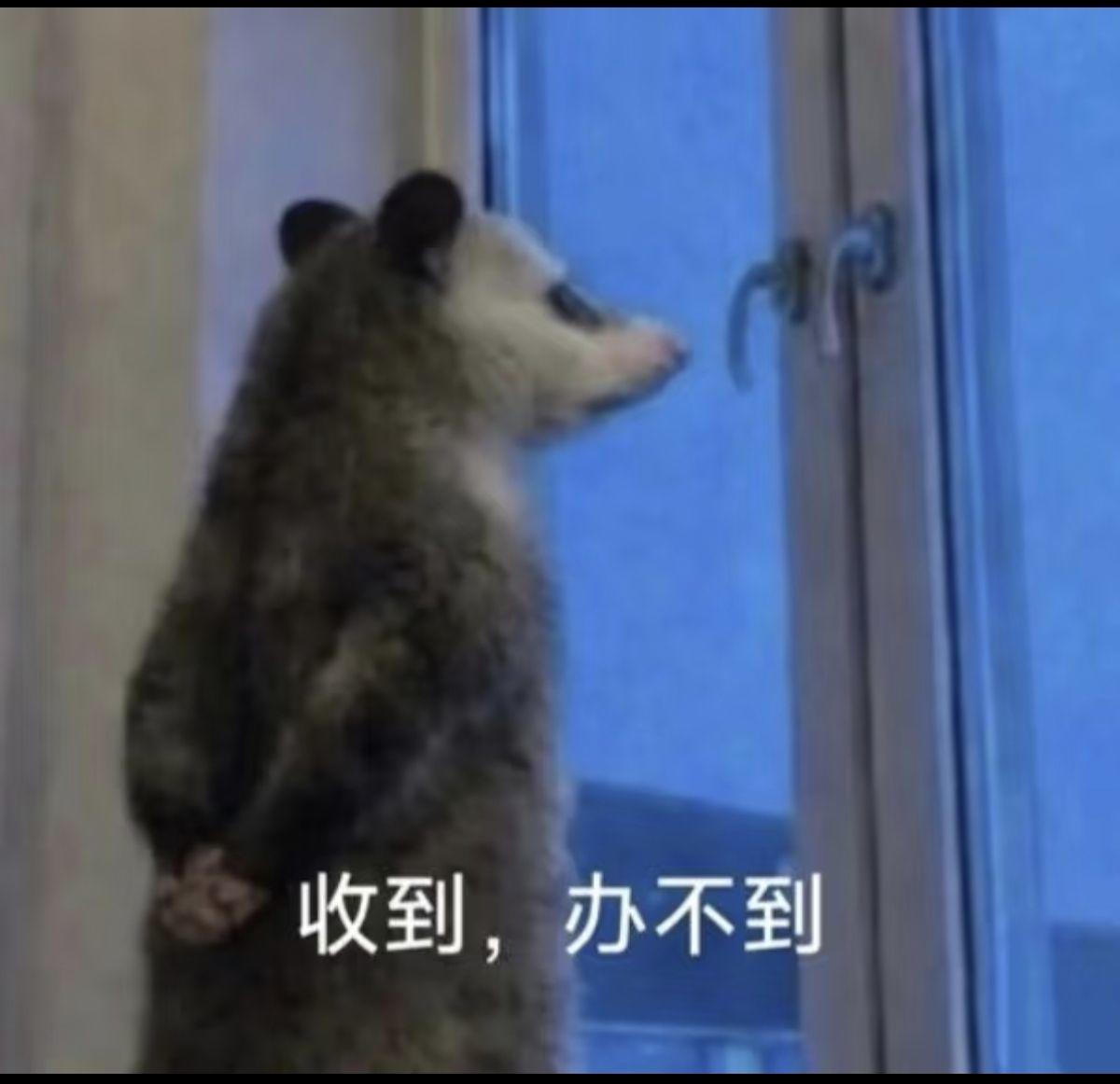 收到，办不到