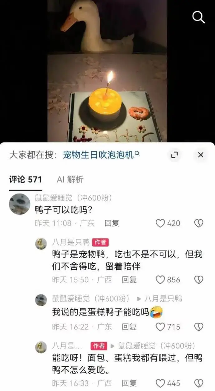 大家都在搜:宠物生日吹泡泡机Q评论571AI解析鼠鼠爱睡觉(