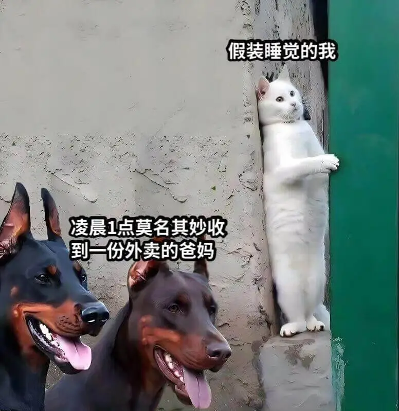 假装睡觉的我凌晨1点，莫名其妙收到一份外卖的爸妈