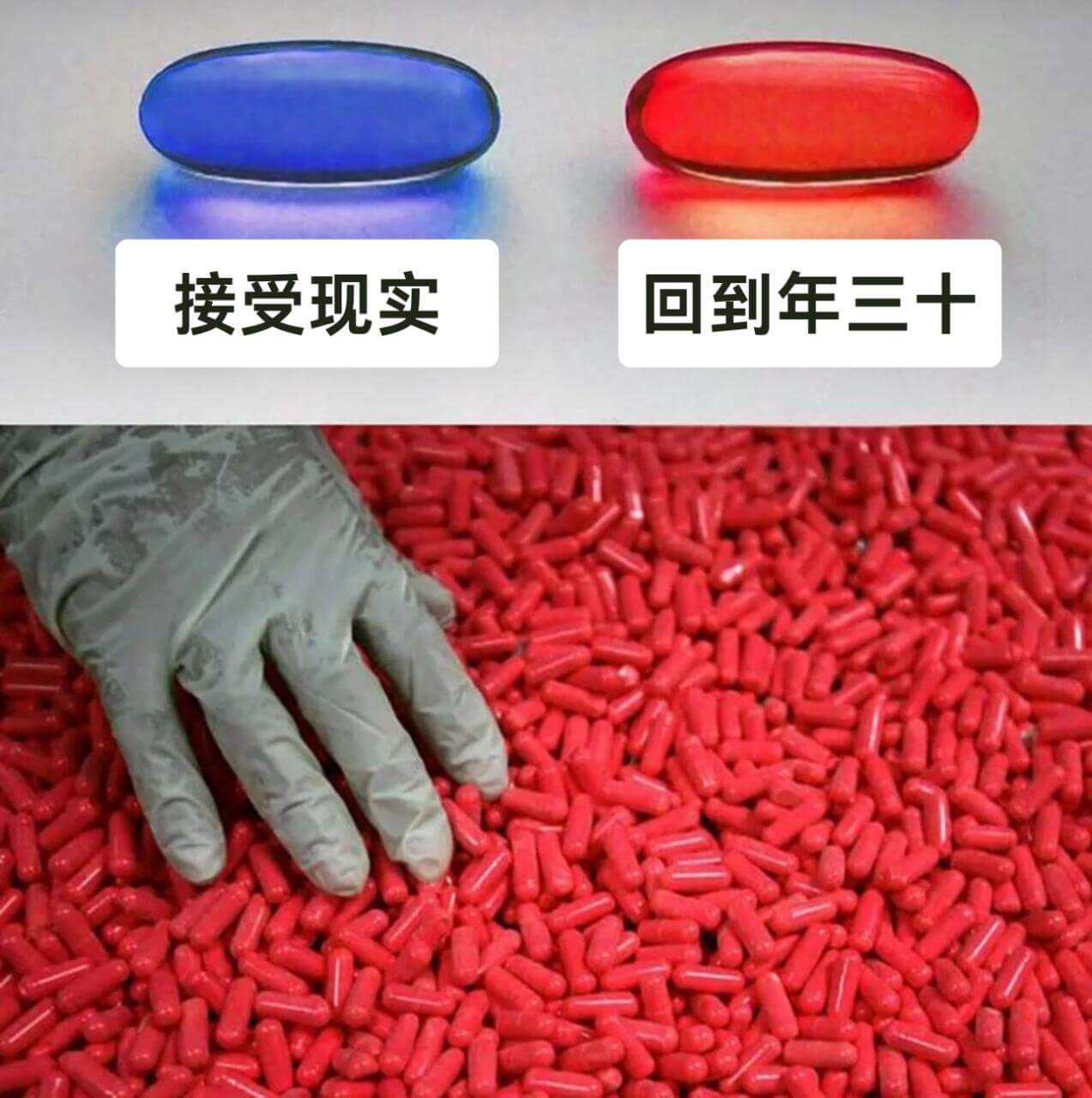 接受现实回到年三十
