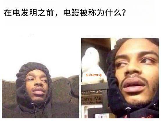 在电发明之前，电鳗被称为什么？王瓶MEME译