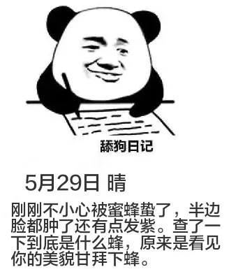 舔狗日记5月29日晴刚刚不小心被蜜蜂蜇了，半边脸都肿了，还有