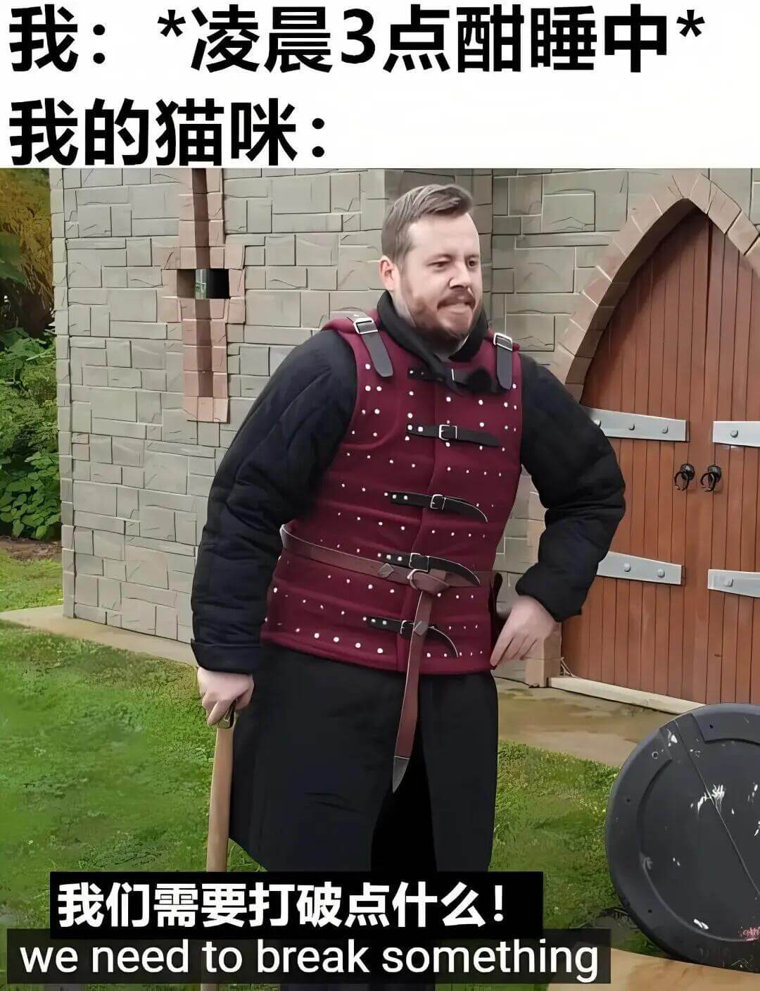我：*凌晨3点睡中我的猫咪：我们需要打破点什么！weneed