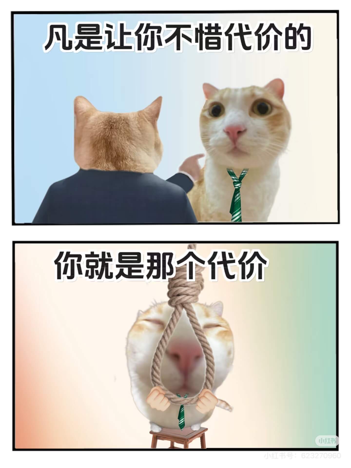 凡是让你不惜代价的，你就是那个代价。小红书