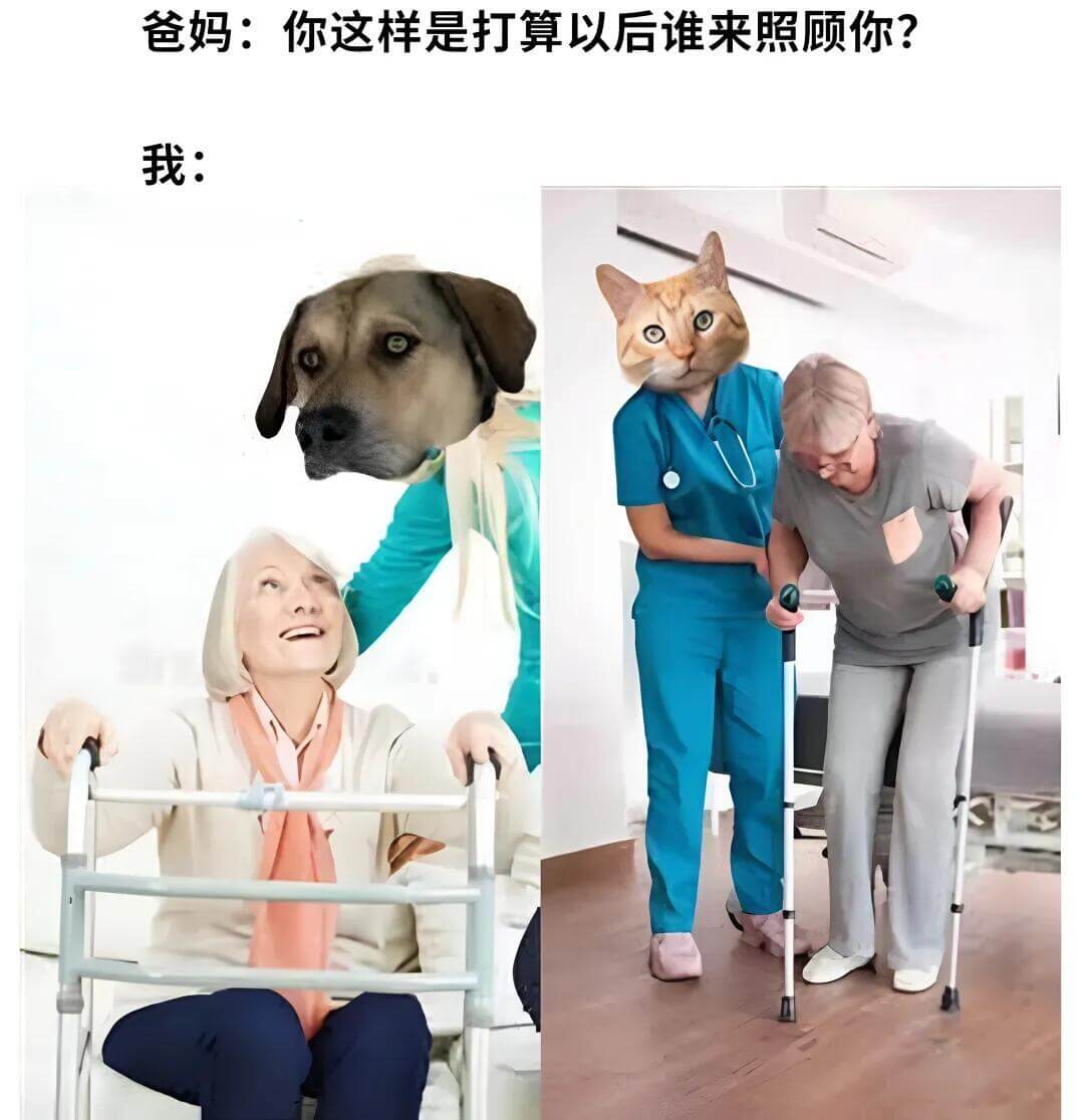 爸妈：你这样是打算以后谁来照顾你？我：