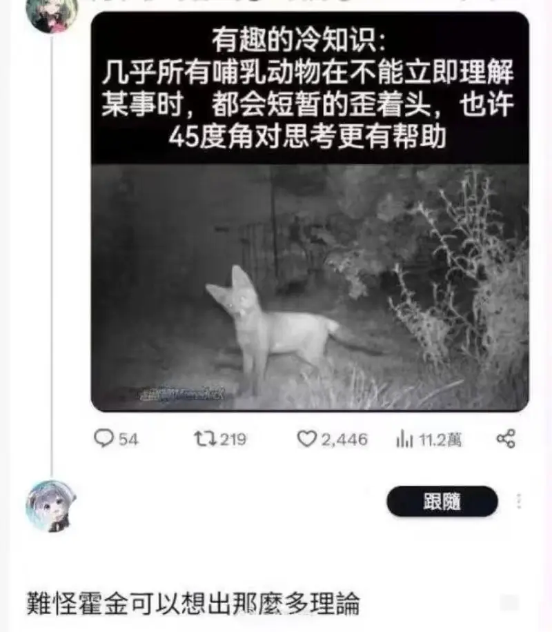 有趣的冷知识:几乎所有哺乳动物在不能立即理解某事时，都会短暂