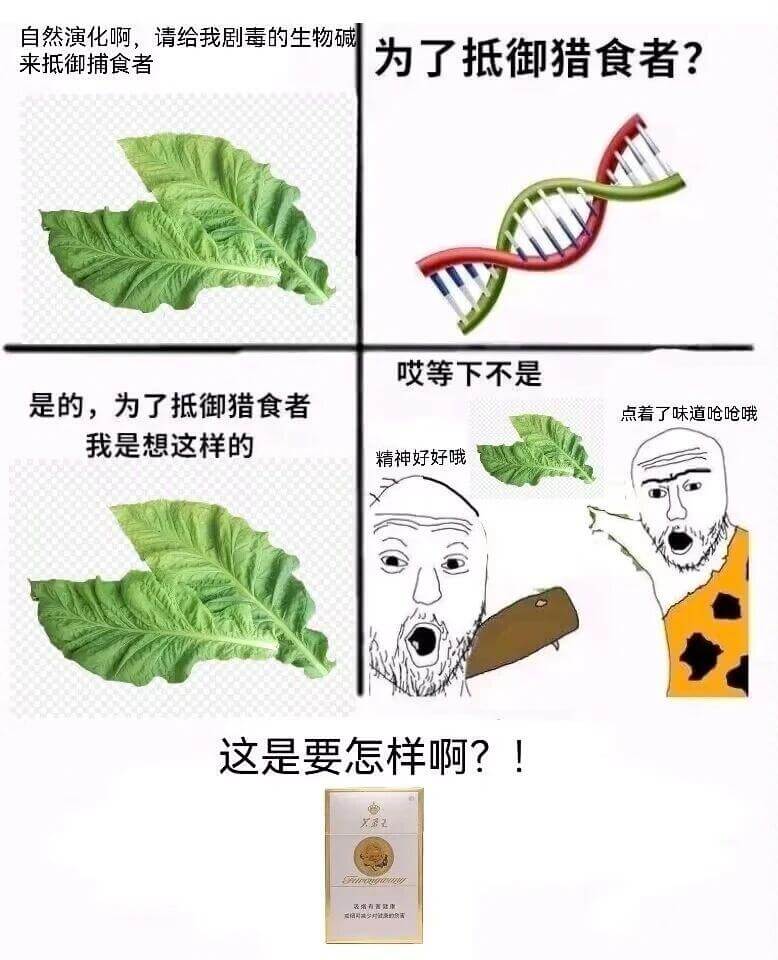 自然演化啊,请给我剧毒的生物碱,为了抵御猎食者?来抵御捕食者