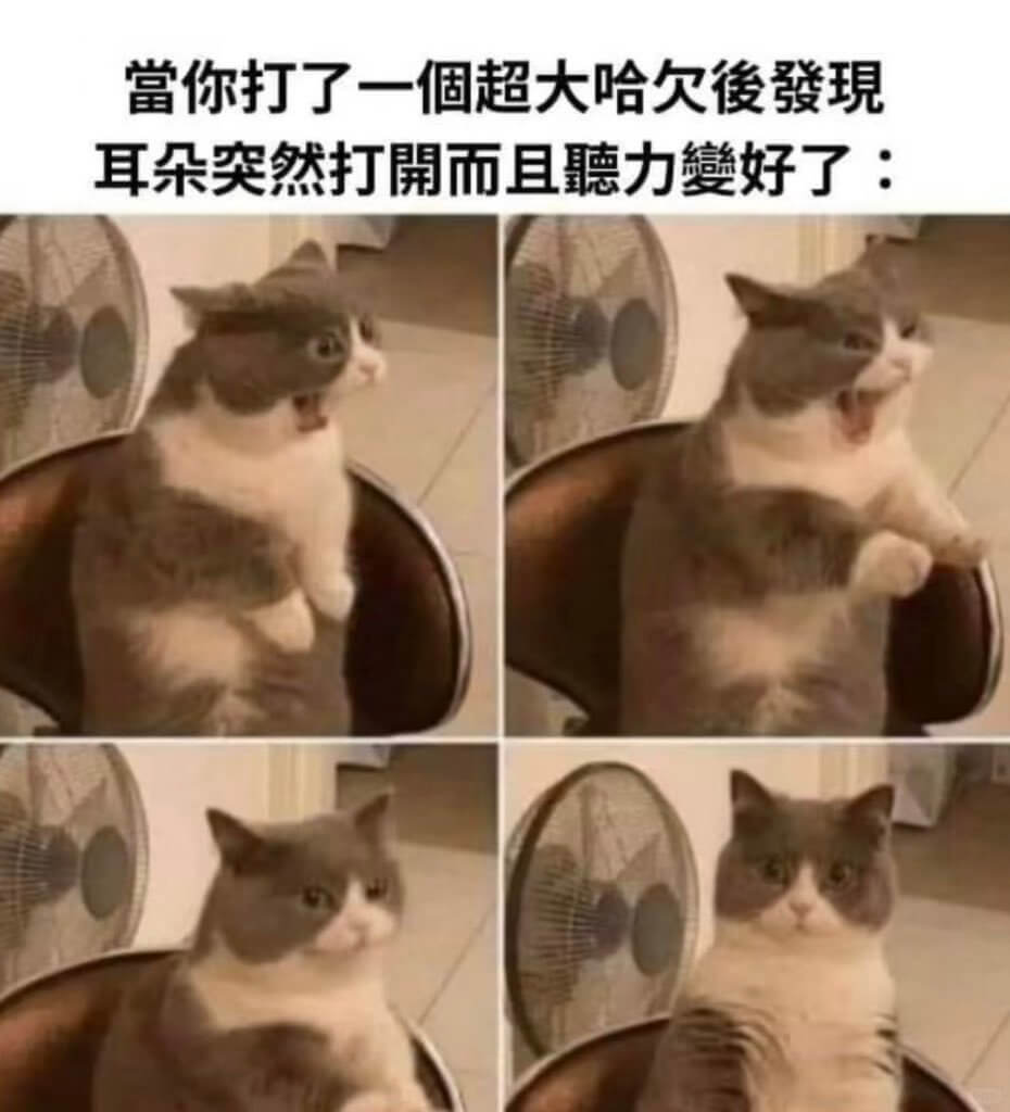 当你打了一個超大哈欠俊發現耳朵突然打开而且力好了：