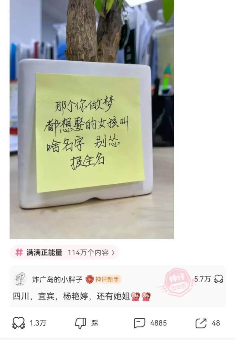 那个你做梦都想娶的女孩叫啥名字别怂，报全名满满正能量114万
