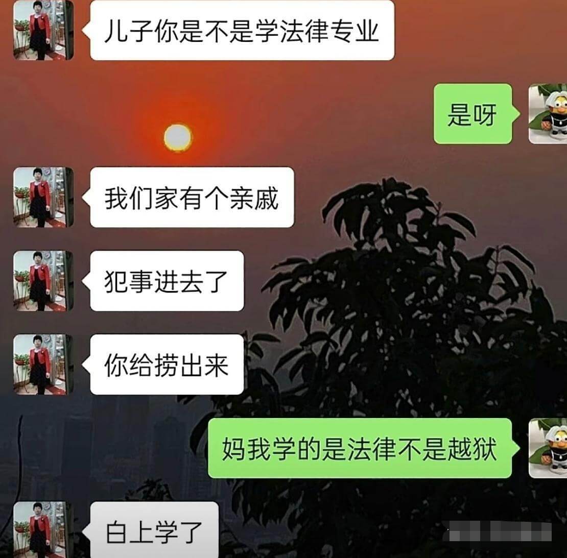 儿子，你是不是学法律专业？我们家有个亲戚犯事进去了，你给捞出
