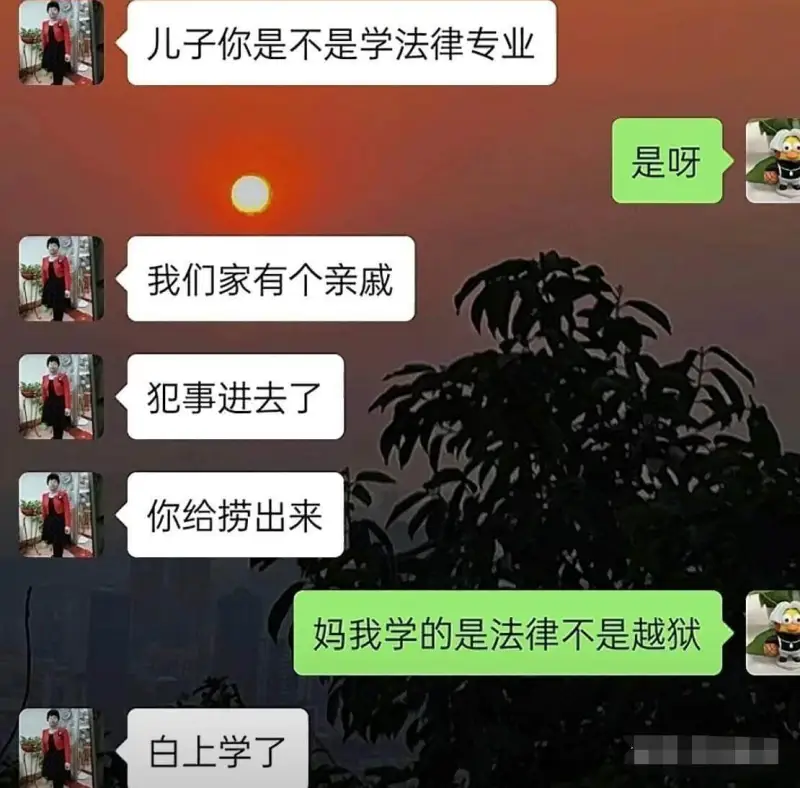 儿子，你是不是学法律专业？我们家有个亲戚犯事进去了，你给捞出