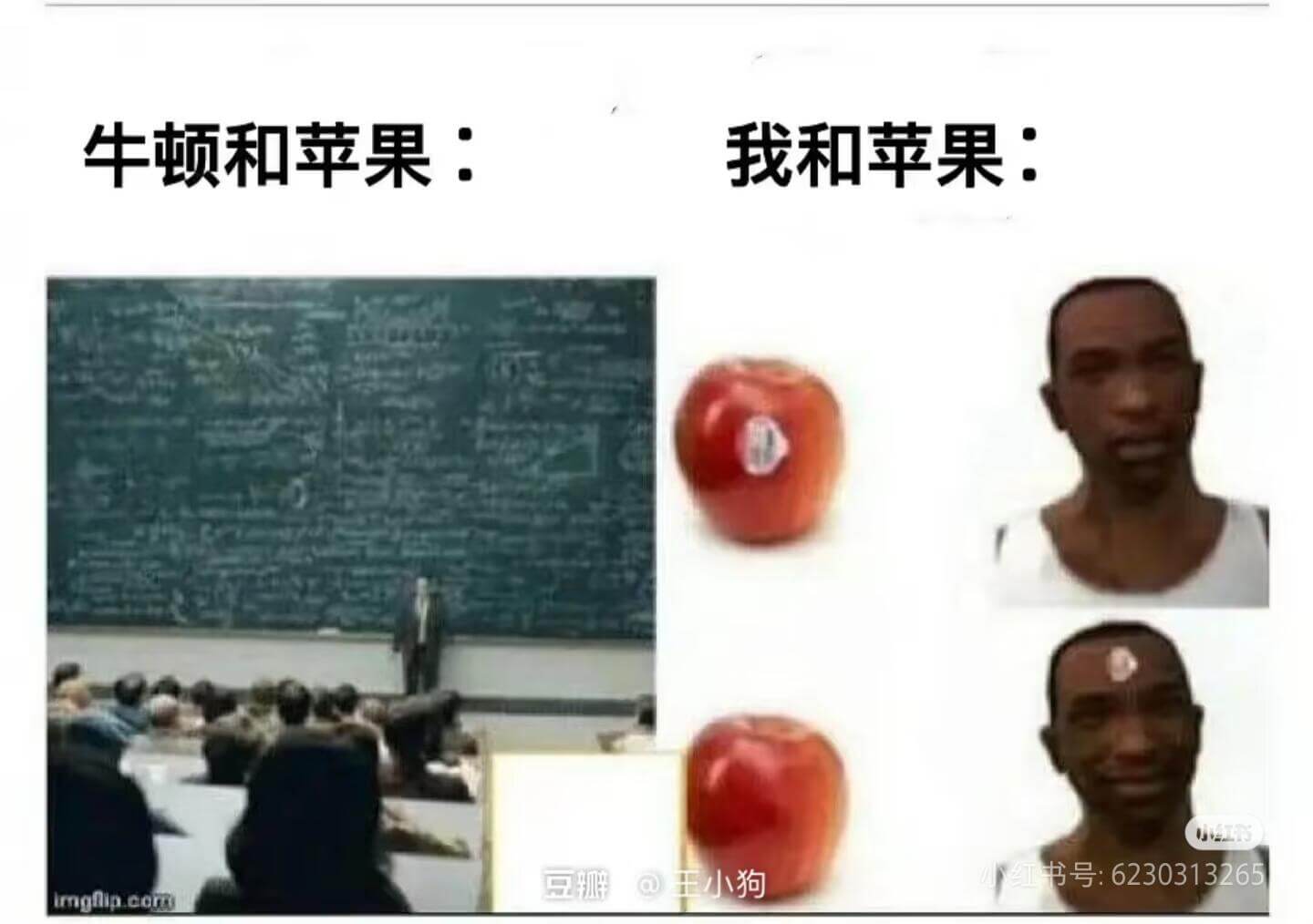 牛顿和苹果：我和苹果：豆@小狗书号：6230313226Im