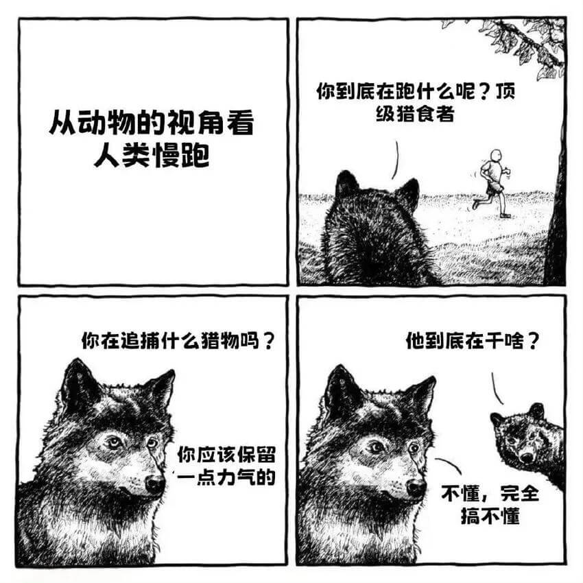 你到底在跑什么呢？顶级猎食者从动物的视角看人类慢跑你在追捕什