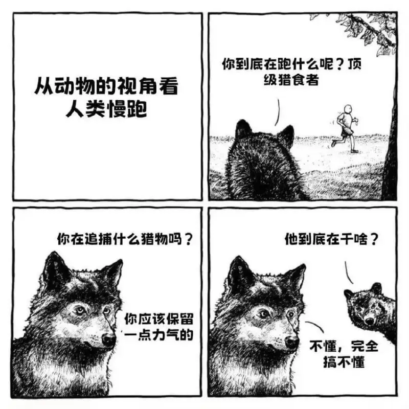 你到底在跑什么呢？顶级猎食者从动物的视角看人类慢跑你在追捕什