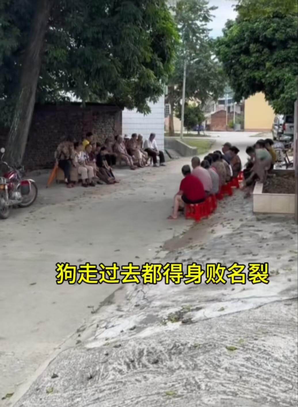 狗走过去都得身败名裂