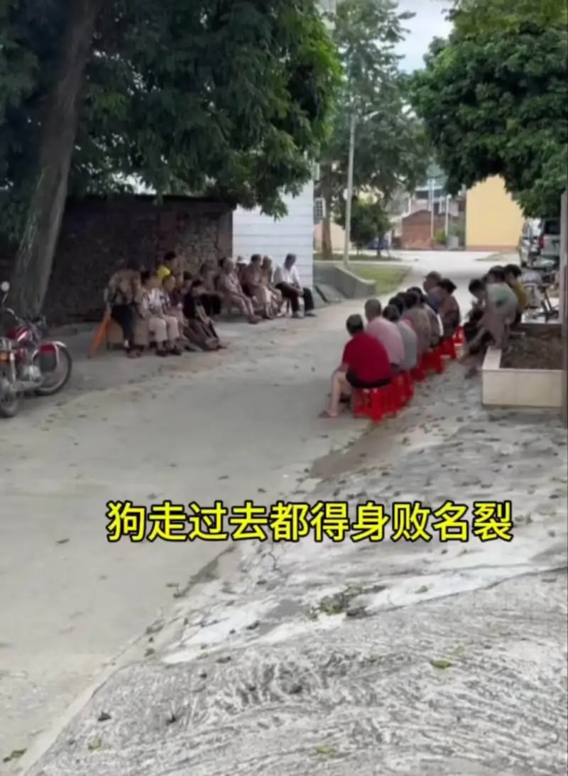 狗走过去都得身败名裂