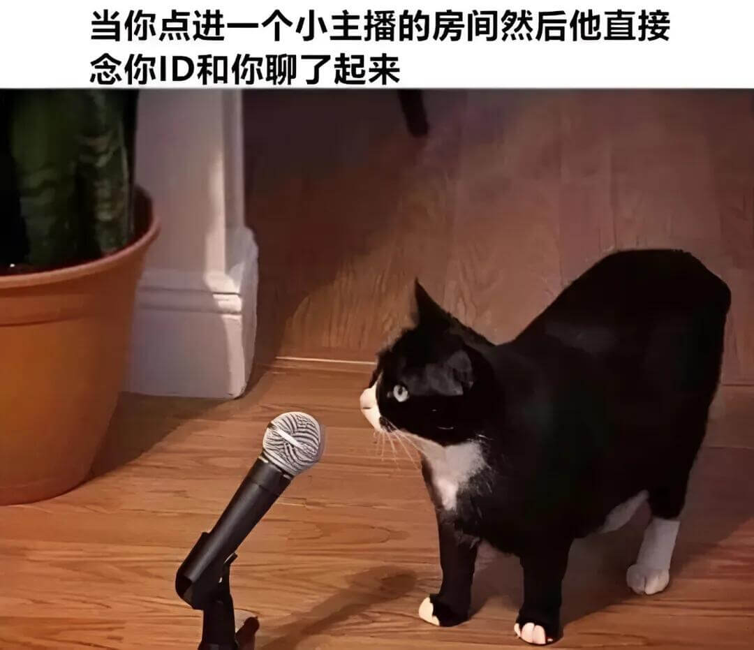 当你点进一个小主播的房间，然后他直接念你ID和你聊了起来