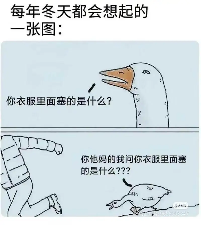 每年冬天都会想起的一张图:你衣服里面塞的是什么?你他妈的我问