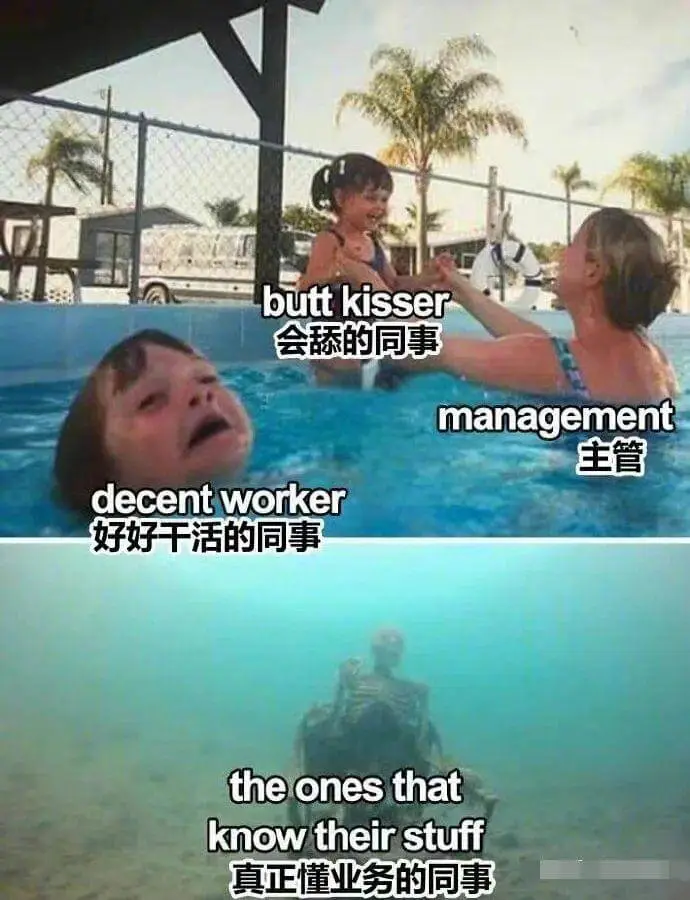 buttkisser会舔的同事management主管dec